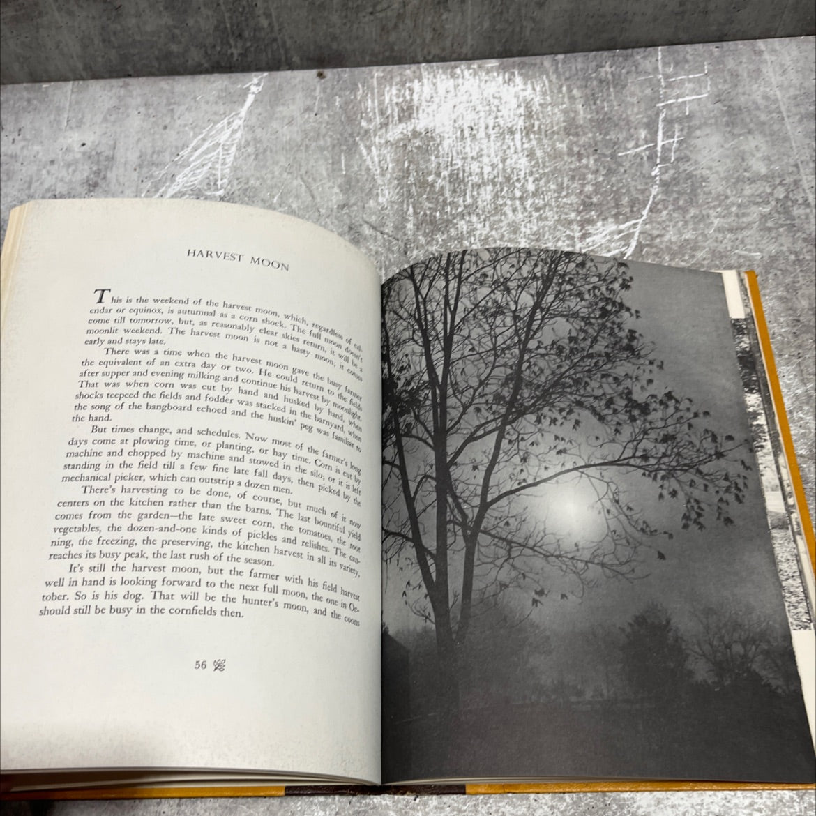 borland country book, by hal borland, 1971 Hardcover image 4