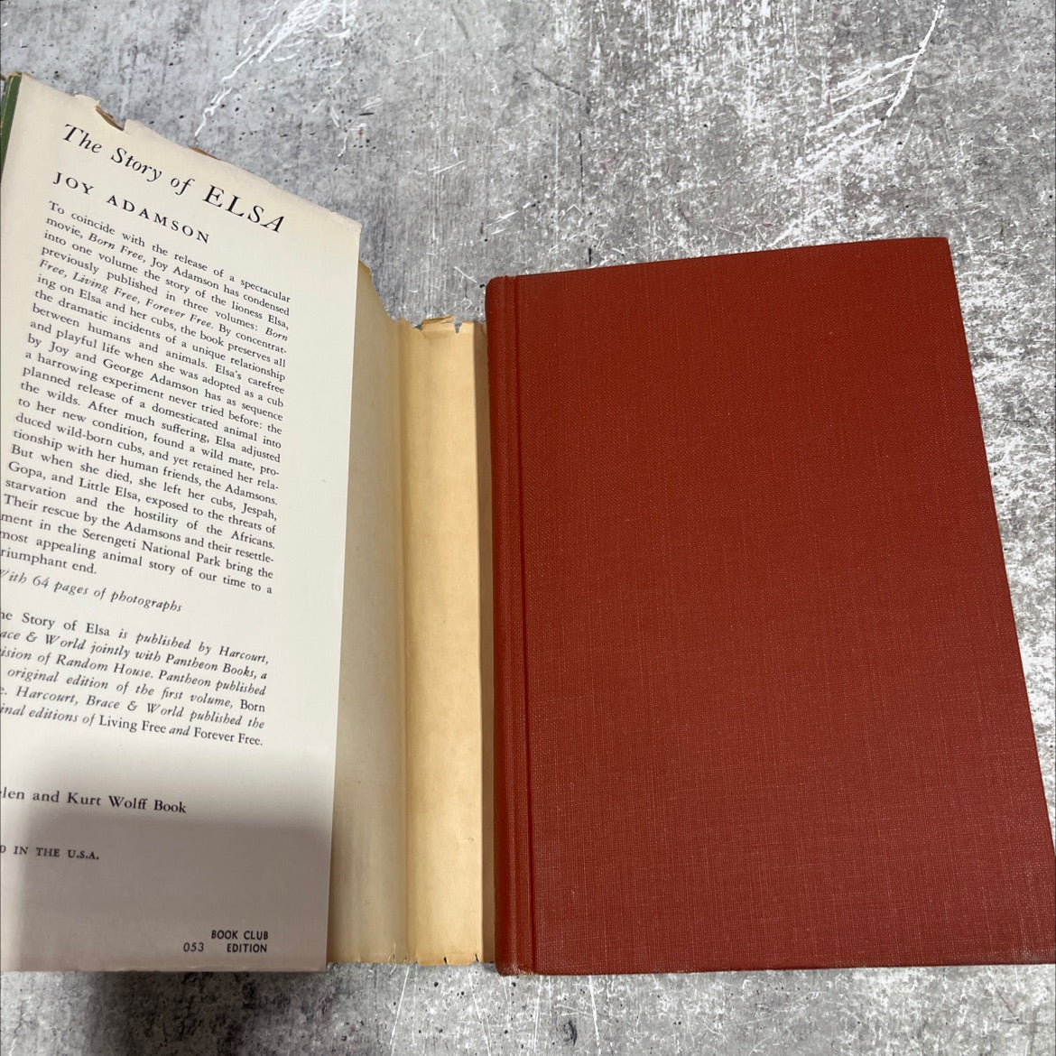 born free book, by joy adamson, 1966 Hardcover image 4