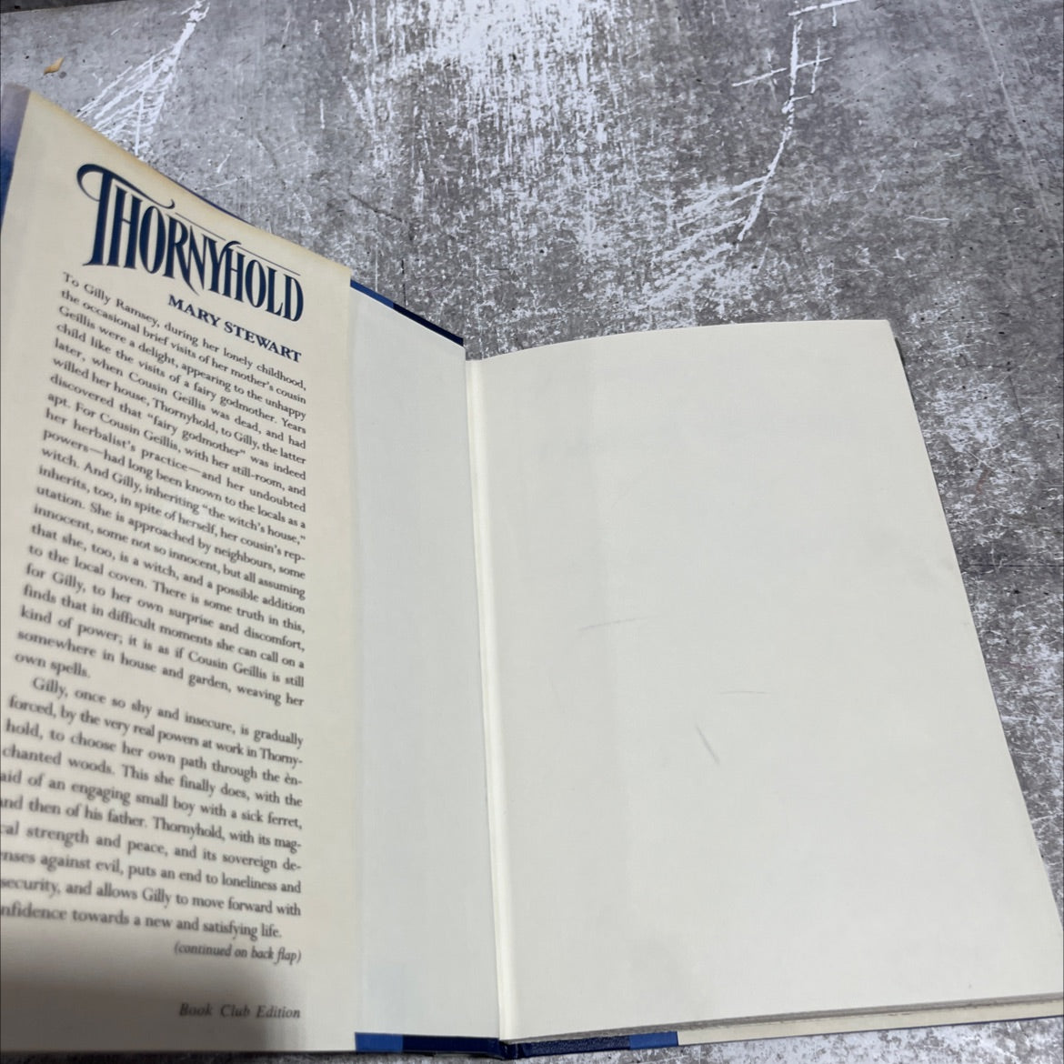 broomstick book, by Mary Stewart, 1988 Hardcover image 4