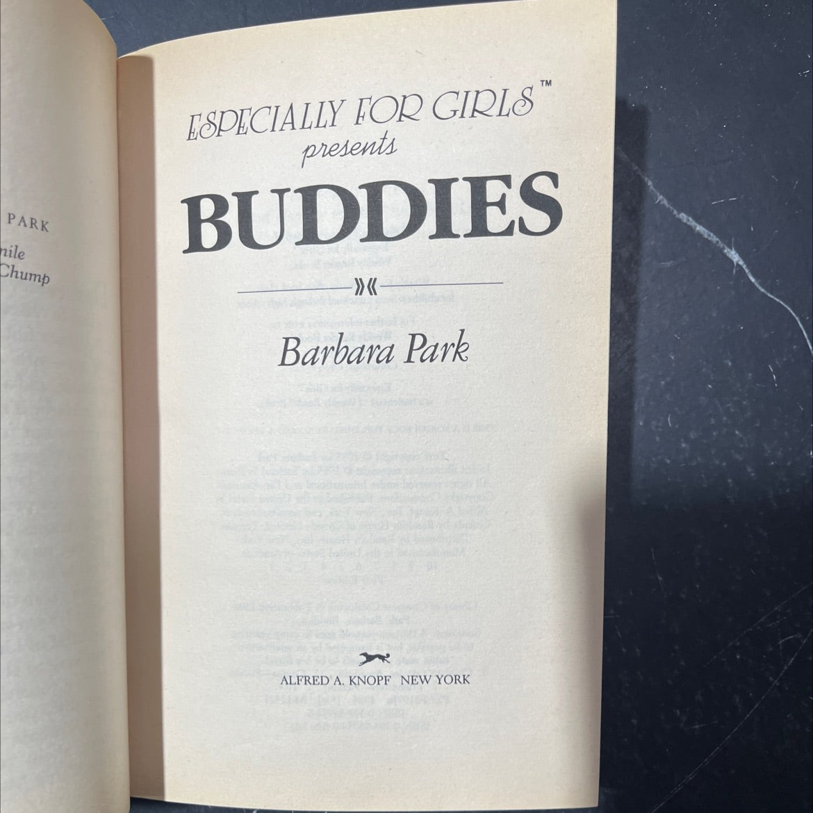 buddies book, by barbara park, 1985 Hardcover image 2