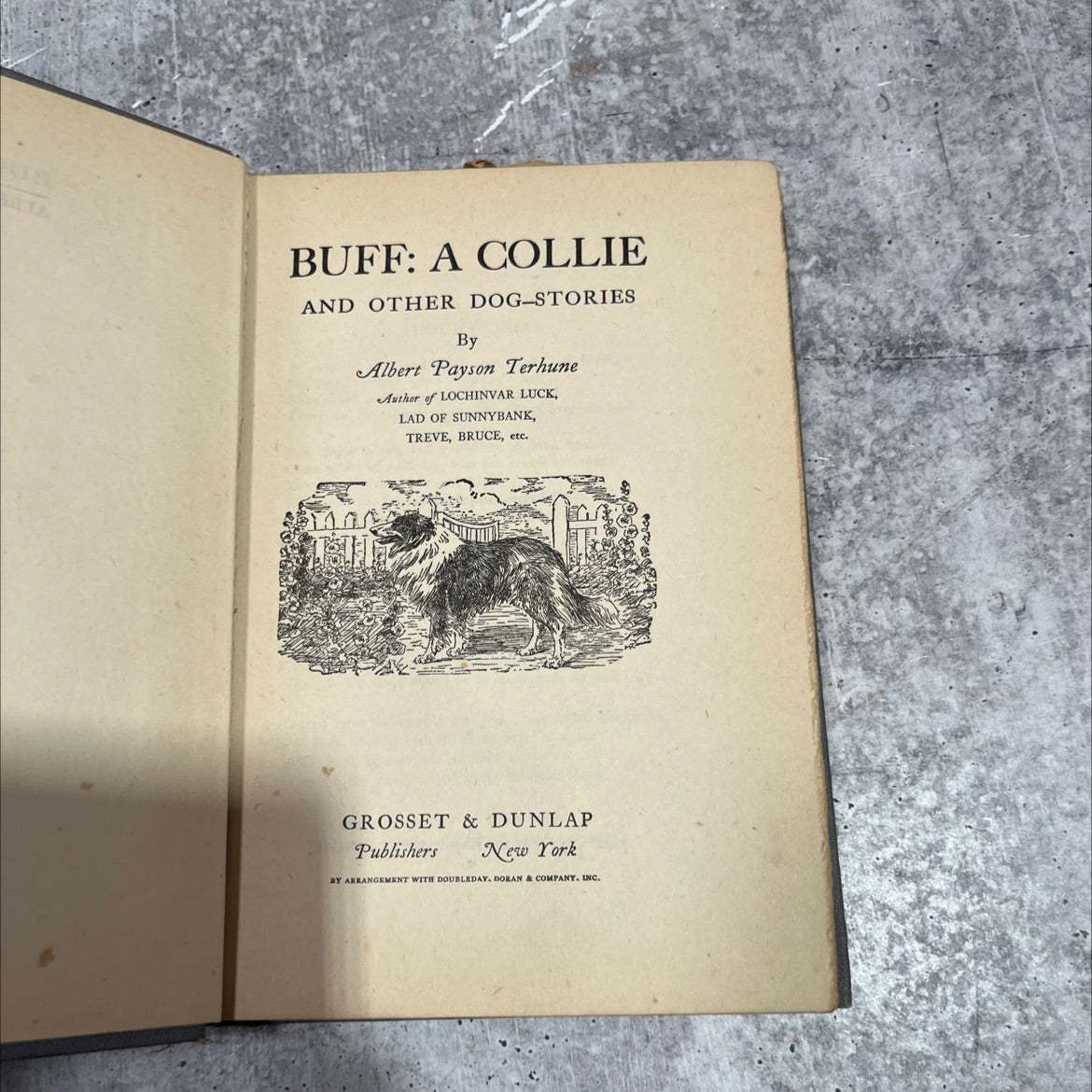 buff: a collie and other dog-stories book, by albert payson terhune, 1921 Hardcover image 2