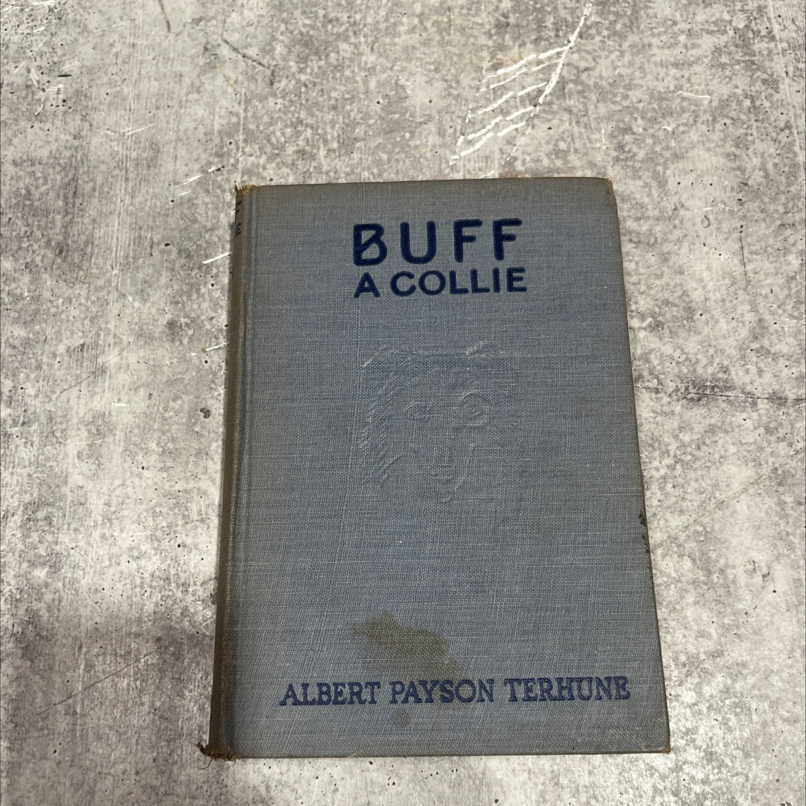 buff: a collie and other dog-stories book, by albert payson terhune, 1921 Hardcover image 1