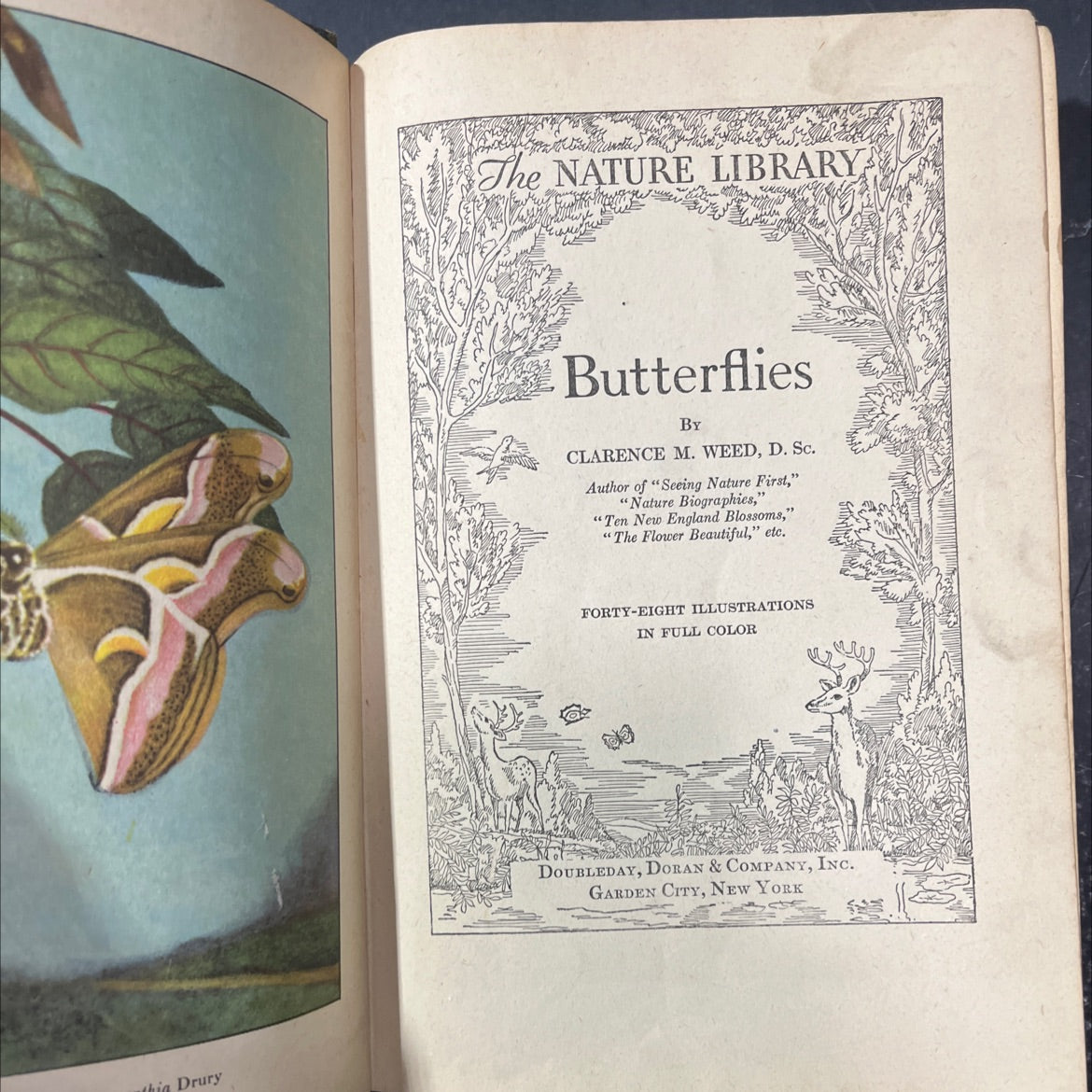 butterflies book, by clarence m. weed, 1926 Hardcover image 2