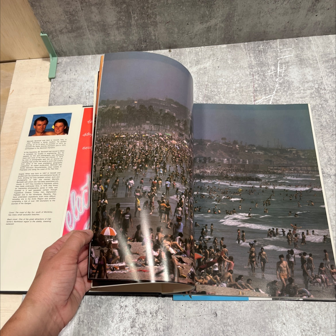 california book, by marcello bertinetti, angela white bertinetti, valeria manferto de fabianis, carlo de fabianis, 1985 image 4