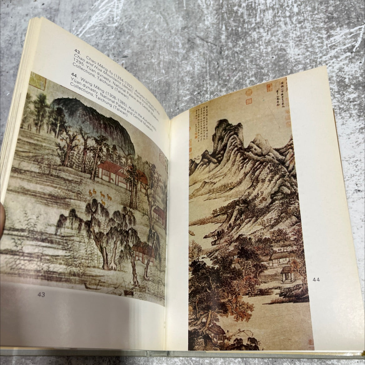 cameo chinese painting book, by mario bussagli, 1969 Hardcover image 4