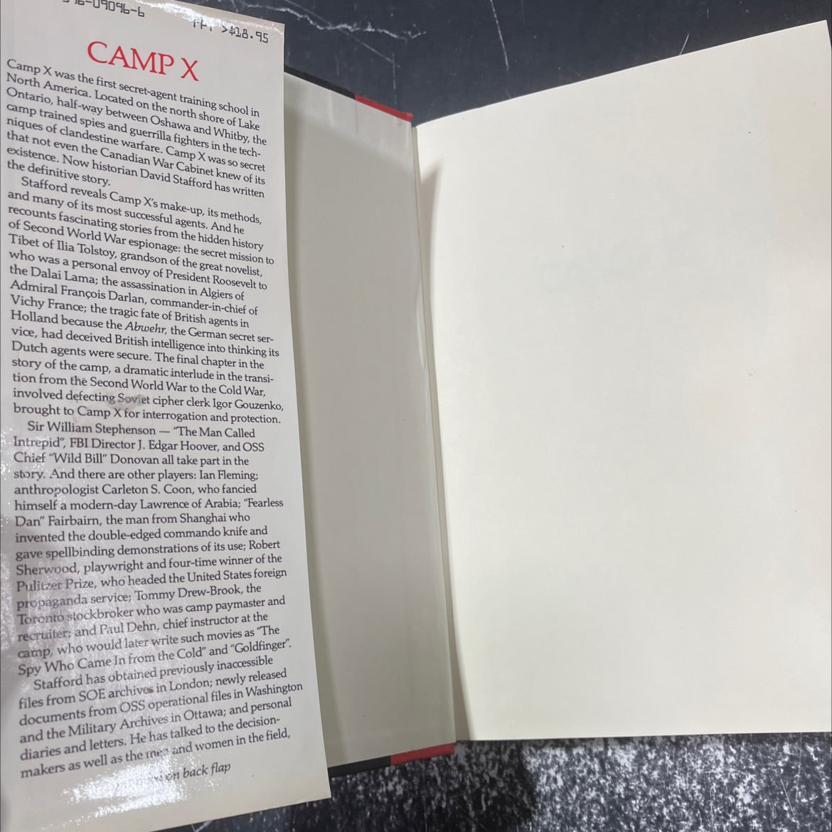 camp x book, by David Stafford, 1987 Hardcover image 4
