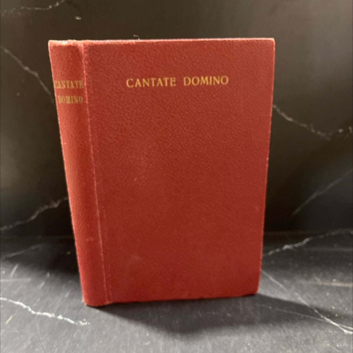 cantate domino book, by unknown, 1960 Hardcover image 1