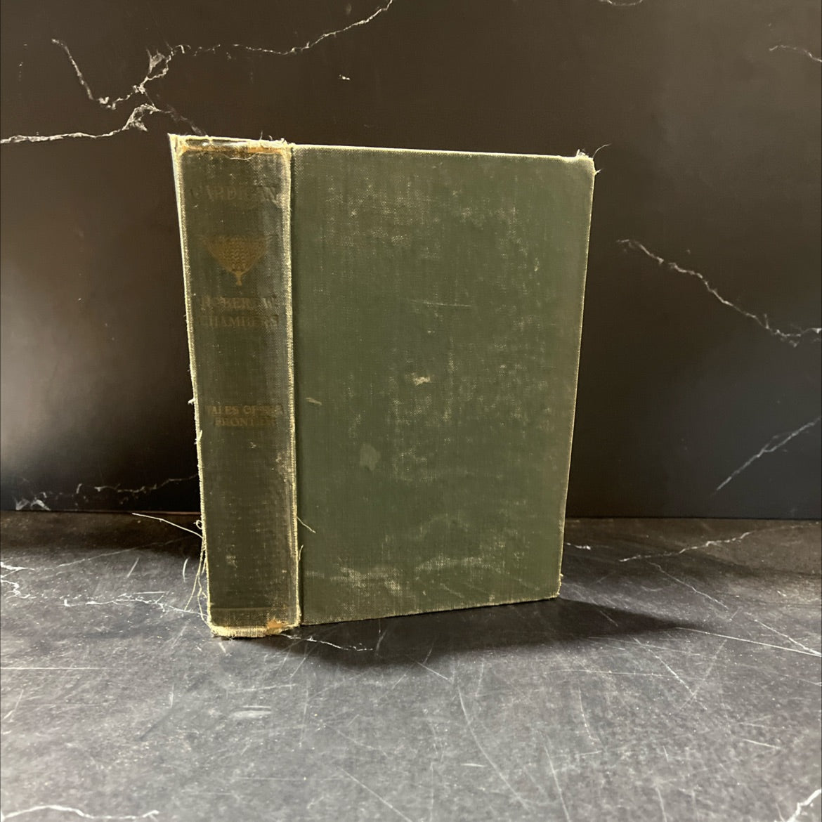 cardigan book, by robert w. chambers, 1901 Hardcover image 1
