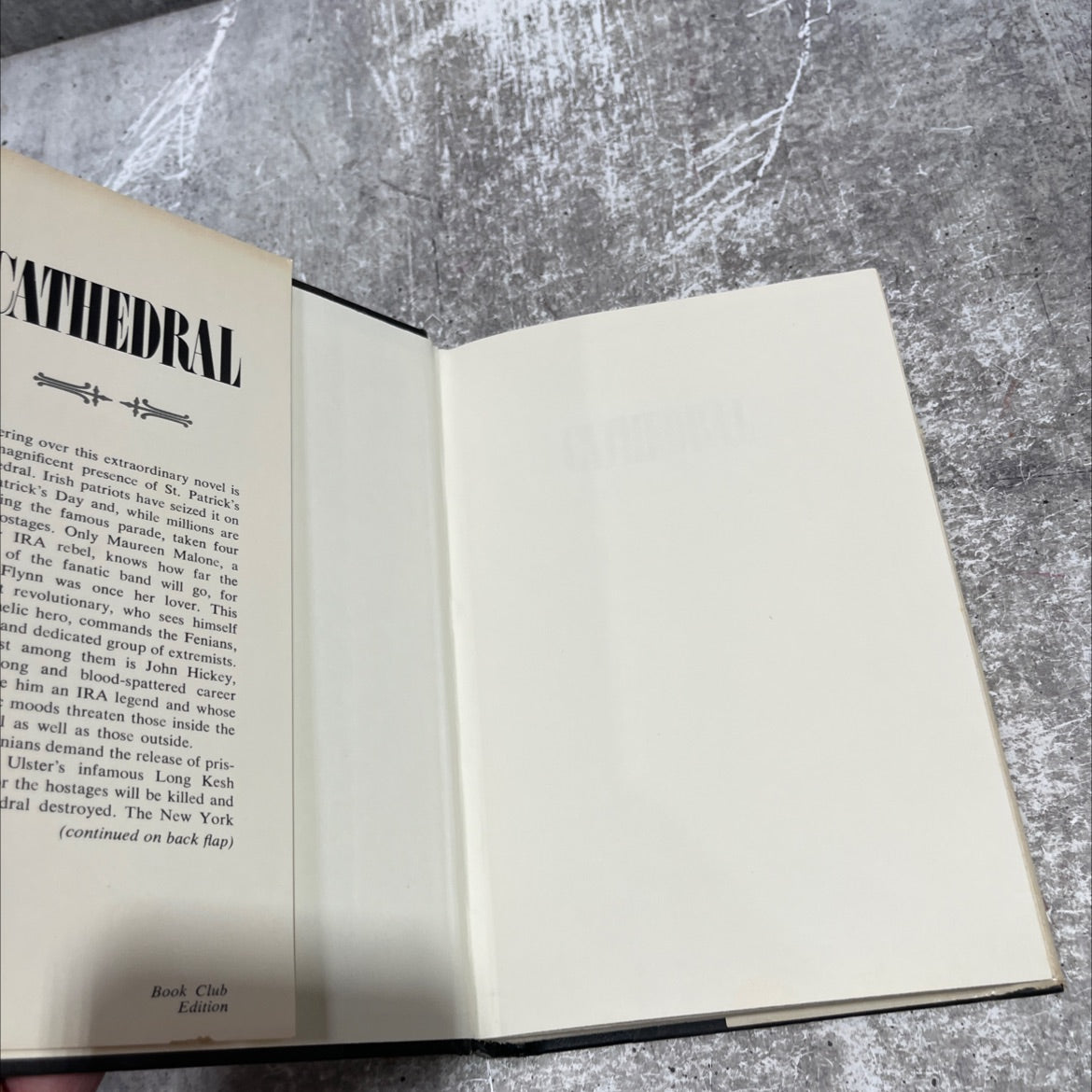 cathedral book, by nelson demille, 1981 Hardcover image 4