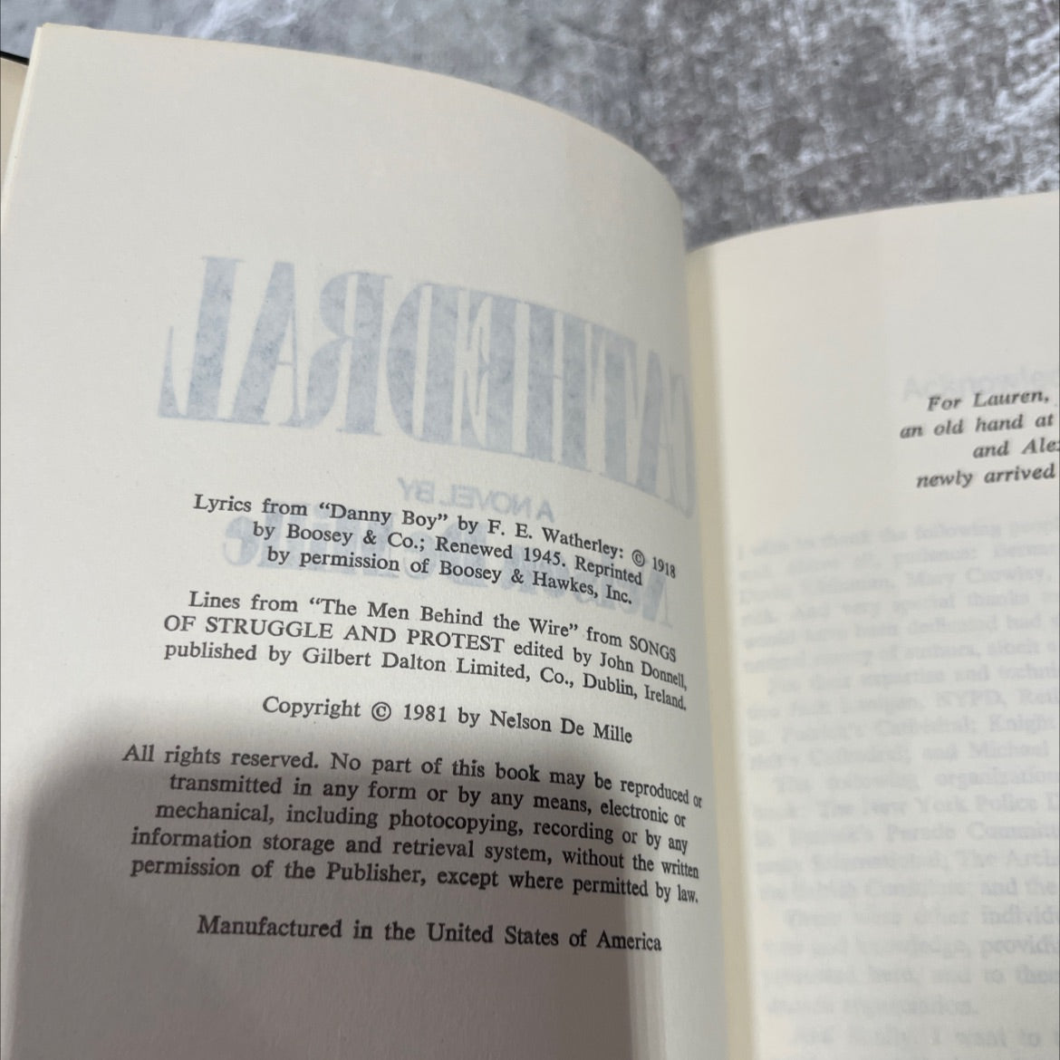 cathedral book, by nelson demille, 1981 Hardcover image 3