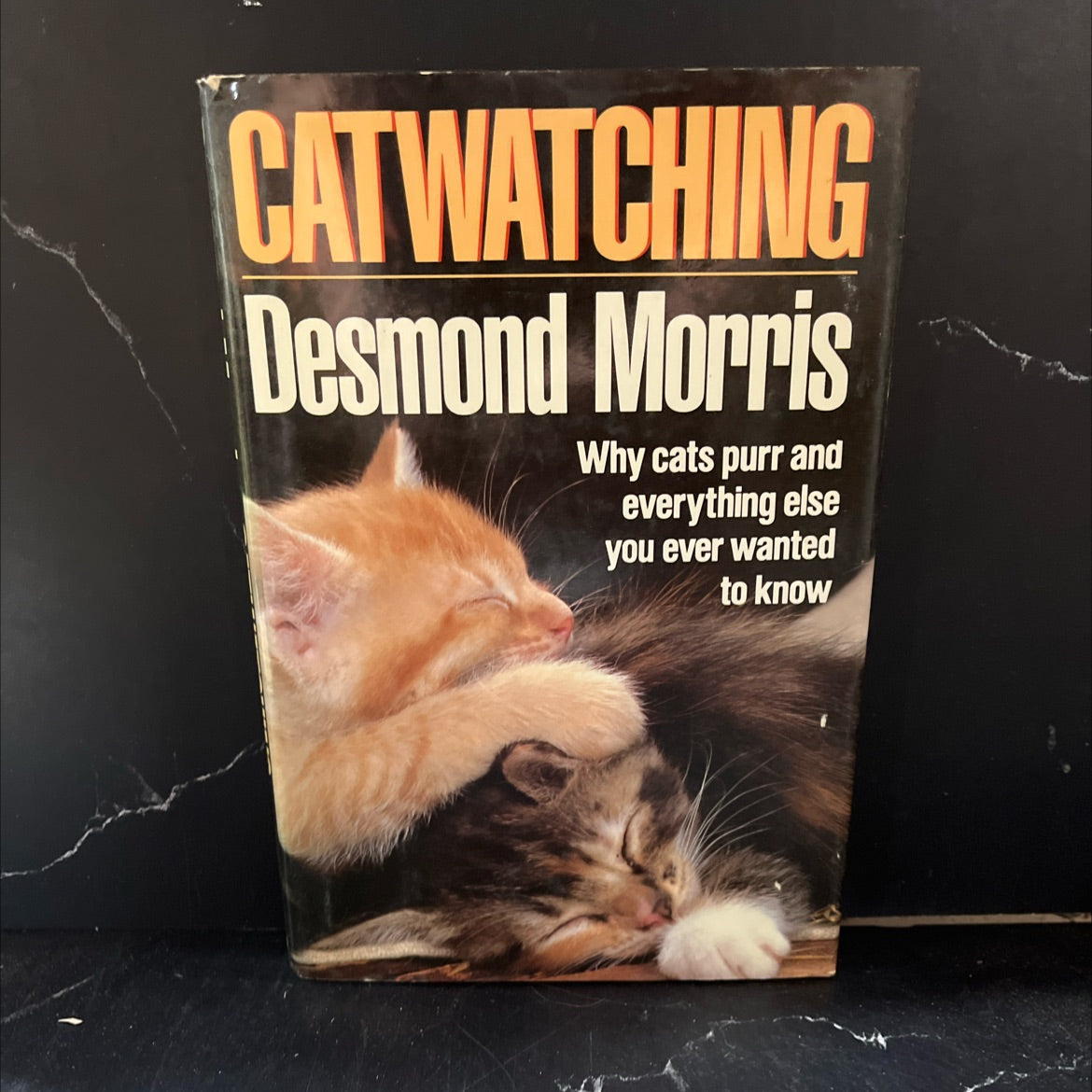 catwatching book, by desmond morris, 1987 Hardcover image 1