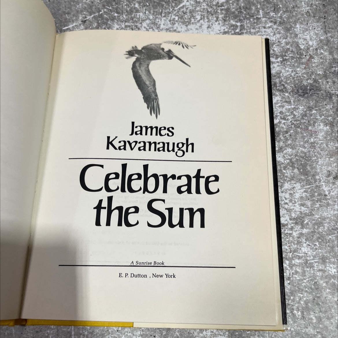 celebrate the sun book, by James Kavanaugh, 1973 Hardcover image 2