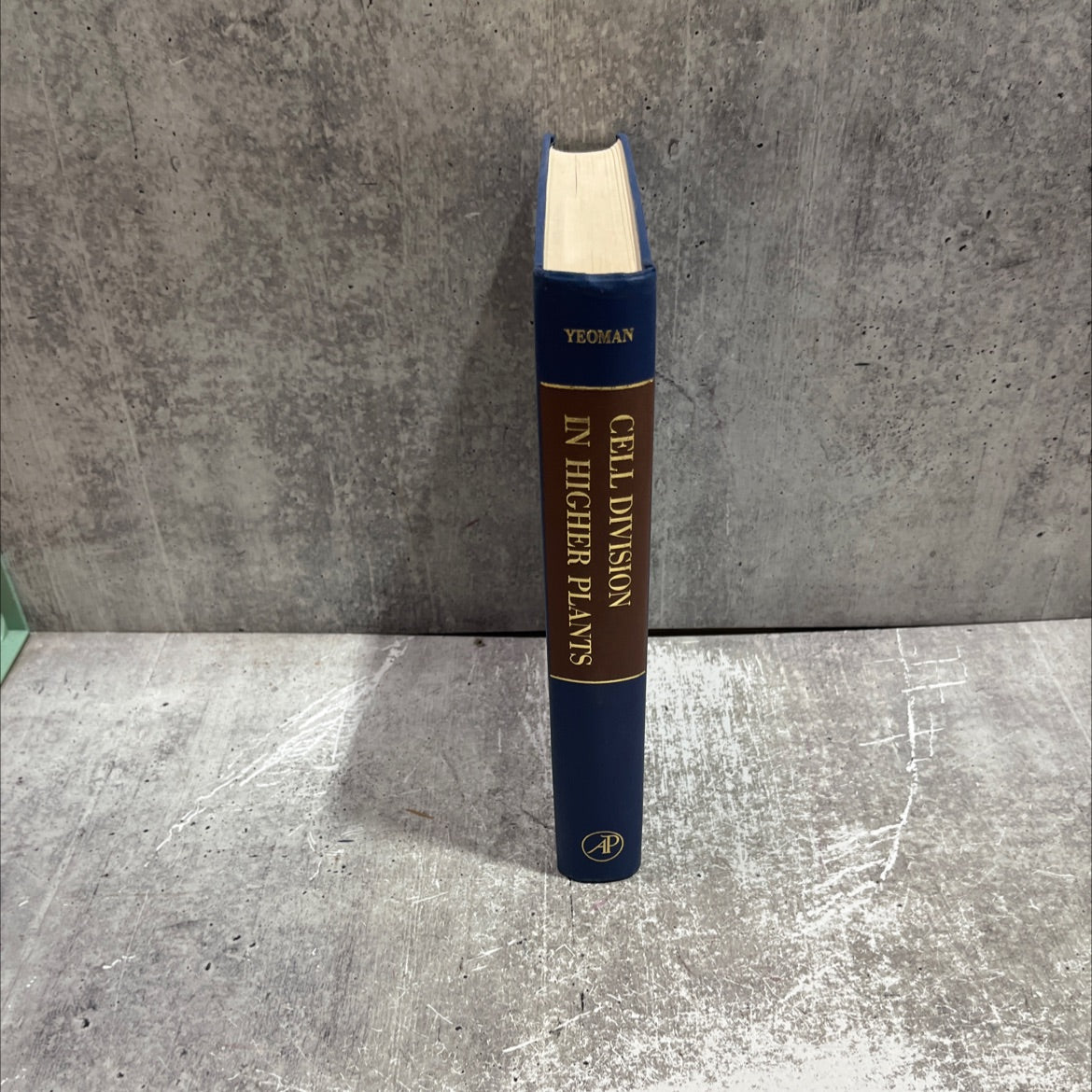 cell division in higher plants book, by m. m. yeoman, 1976 Hardcover image 4