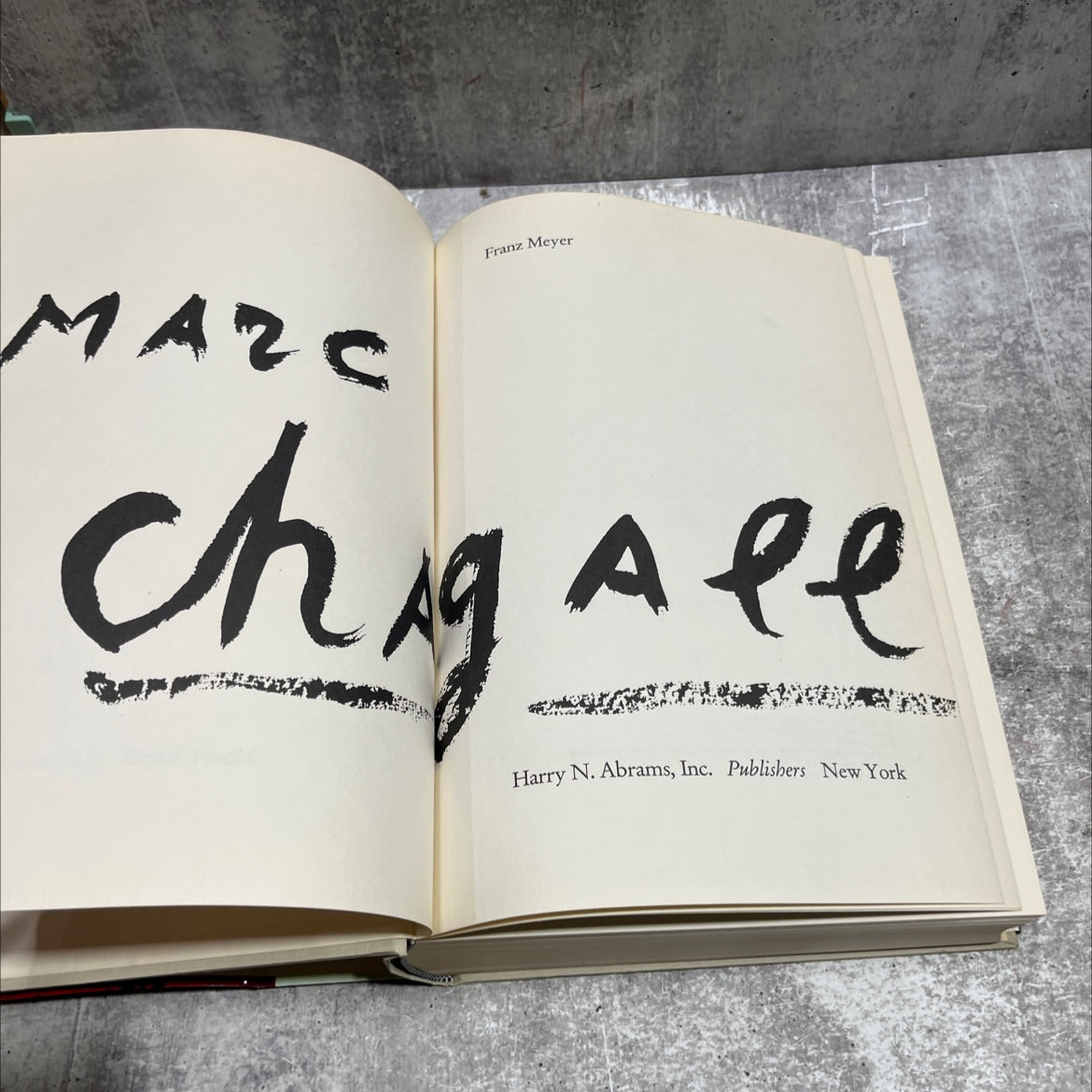 chagall book, by Franz Meyer, 1963 Hardcover image 2