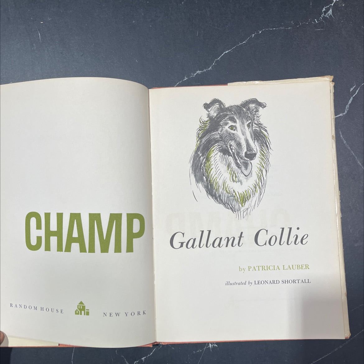 champ gallant collie book, by patricia lauber, 1960 Hardcover image 2