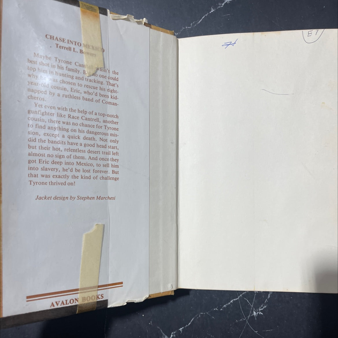 chase into mexico book, by Terrell L. Bowers, 1982 Hardcover image 4