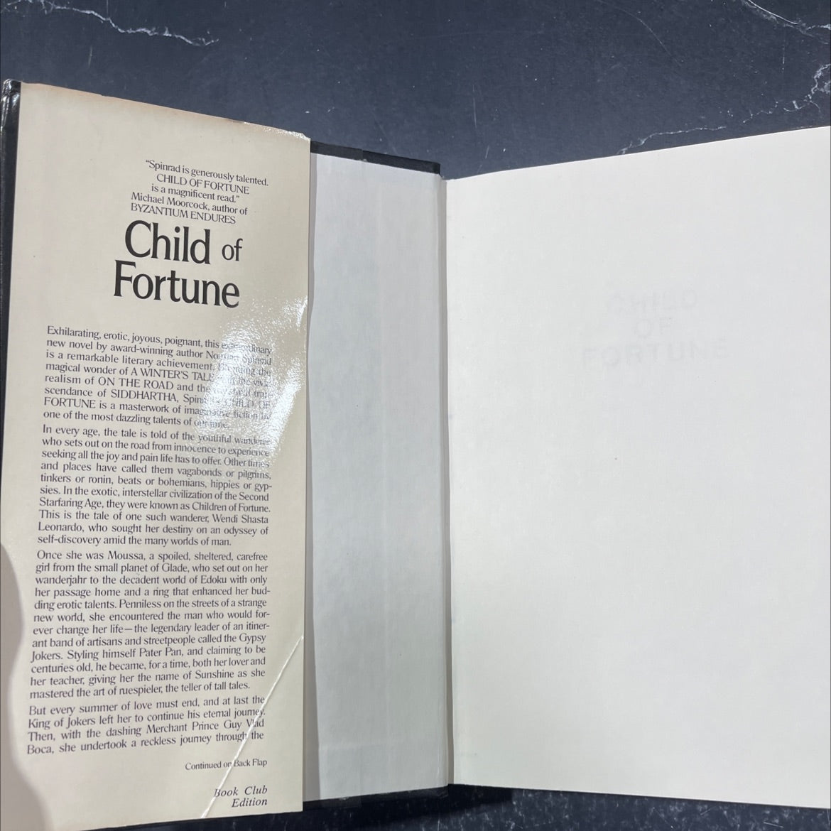 child of fortune book, by Norman Spinrad, 1985 Hardcover image 4