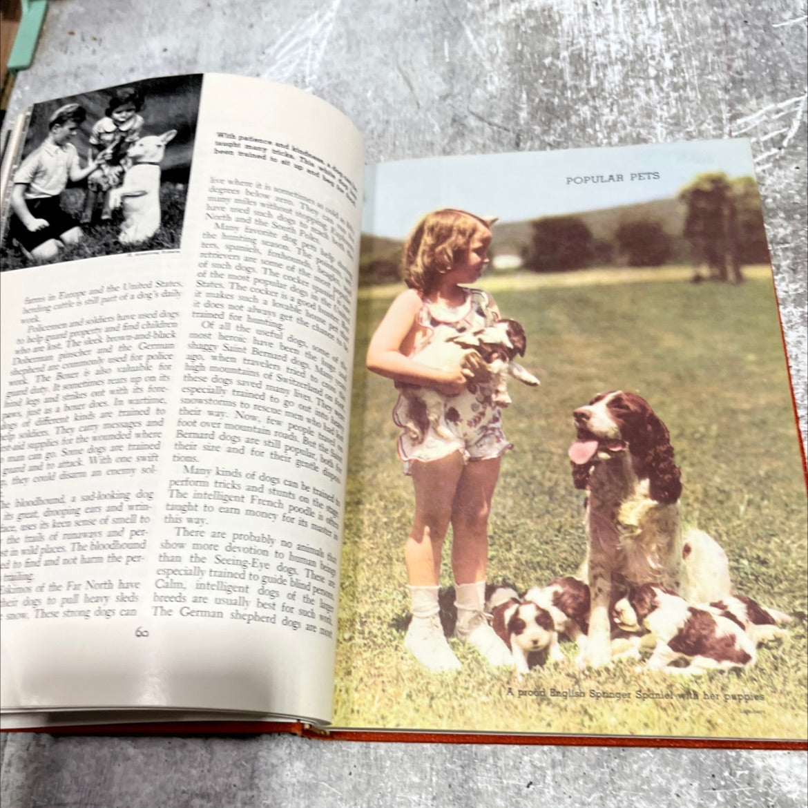childcraft exploring the world around us book, by Field Enterprises, Inc., 1954 Hardcover image 4