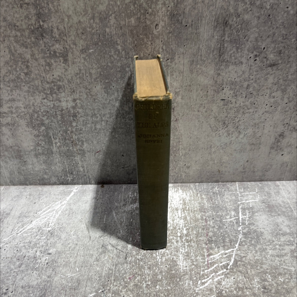 children of the alps book, by johanna spyri, 1925 Hardcover image 4
