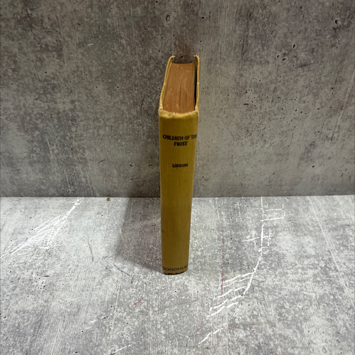 children of the frost book, by jack london, 1913 Hardcover image 4