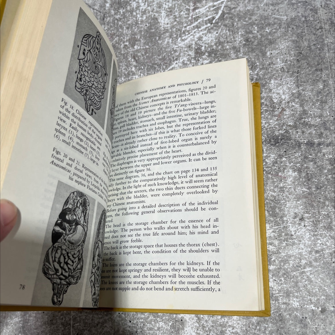 chinese folk medicine and acupuncture book, by Heinrich Wallnöfer, Anna von Rottauscher, 1965 Hardcover image 4