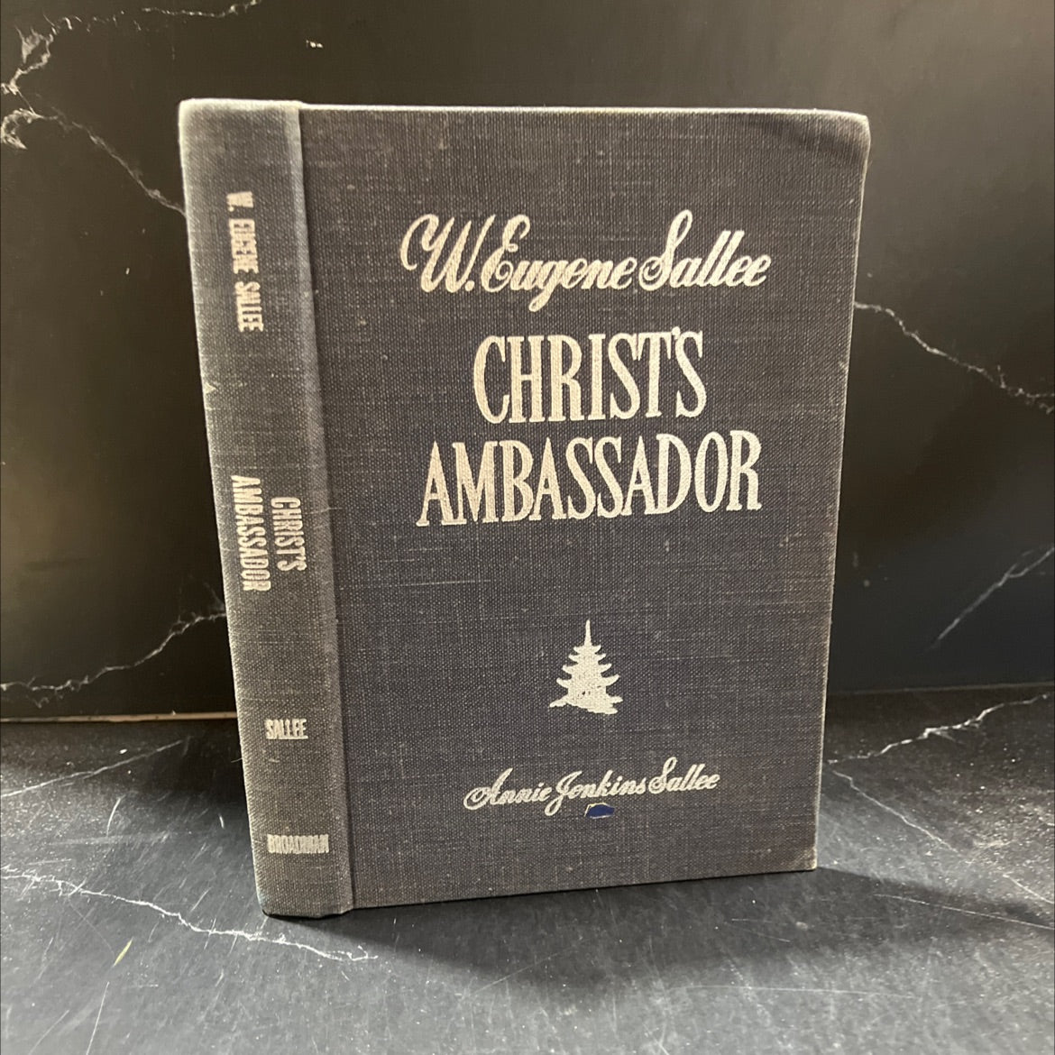christ's ambassador book, by annie jenkins sallee, 1933 Hardcover image 1
