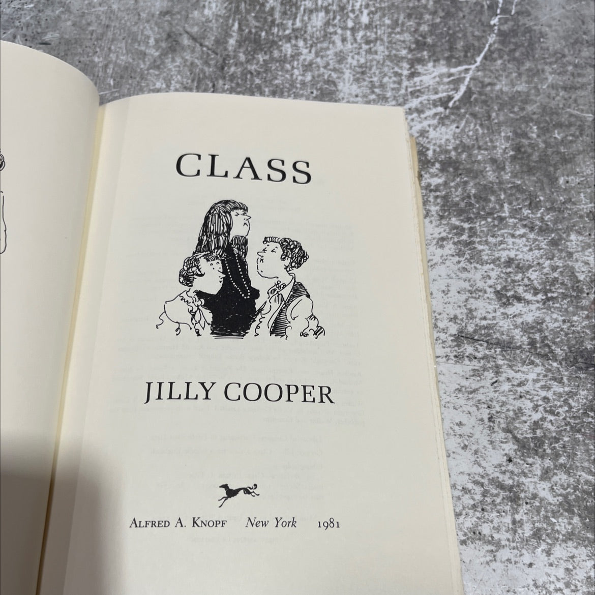 class: a view from middle england book, by jilly cooper, 1981 Hardcover image 2