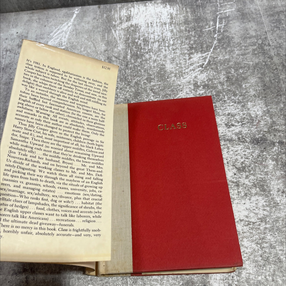 class: a view from middle england book, by jilly cooper, 1981 Hardcover image 4