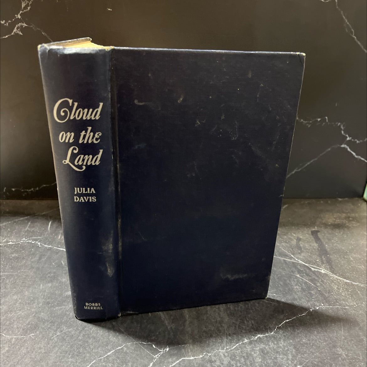 cloud on the land book, by julia davis, 1951 Hardcover image 1
