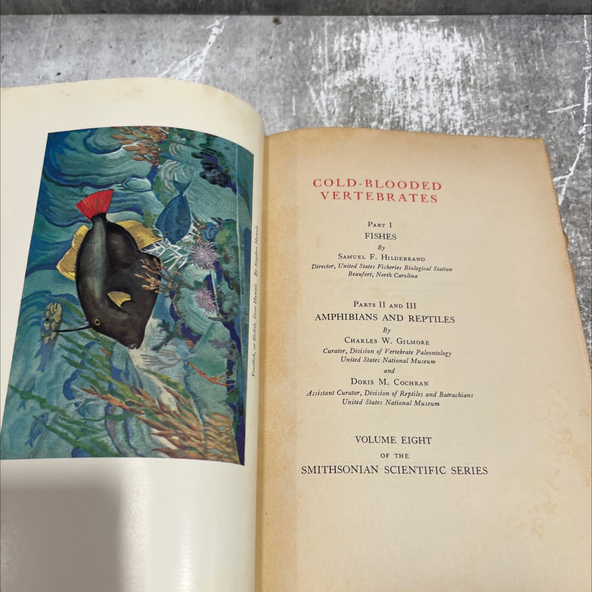 cold-blooded vertebrates part i fishes book, by samuel f. hildebrand, 1934 Hardcover image 2