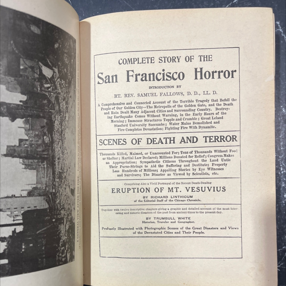 complete story of the san francisco horror book, by trumbull white, 1906 Leather image 2