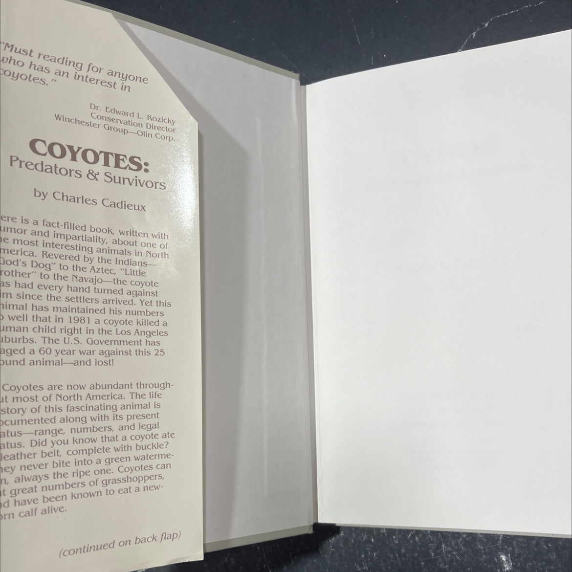 coyotes: predators and survivors book, by Charles L. Cadieux, 1983 Hardcover image 4