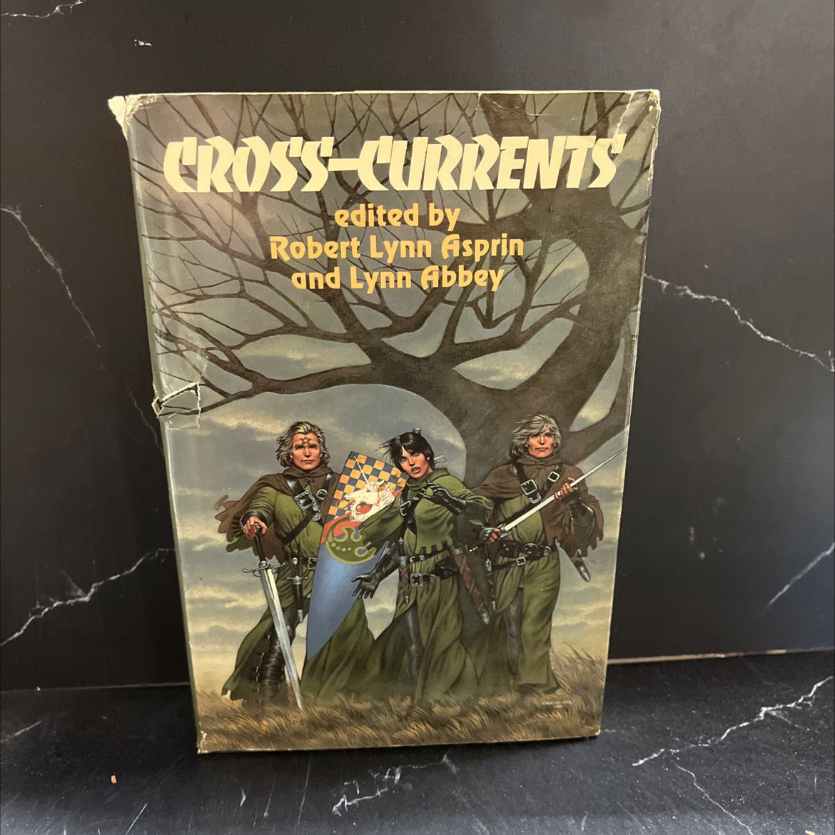 cross-currents storm season the face of chaos wings of omen book, by Robert Asprin, Lynn Abbey, 1984 Hardcover image 1