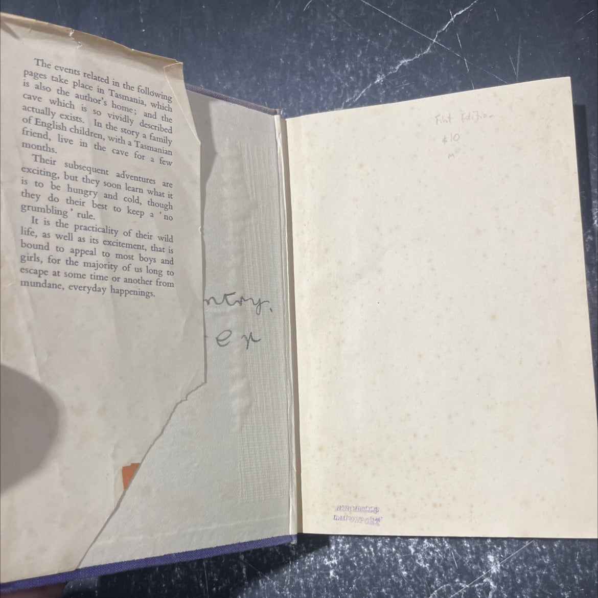 dad (see page 99) they found a cave book, by nan chauncy, 1948 Hardcover image 4