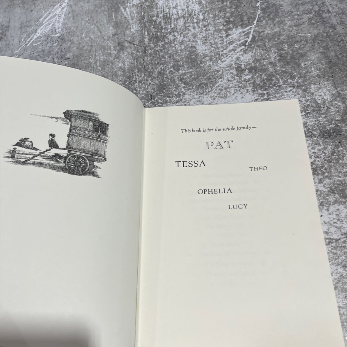 danny the champion of the world book, by roald dahl, 1970 Hardcover image 3