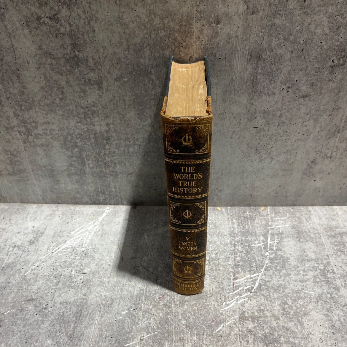 dante meets beatrice the world's true history book, by edgar sanderson, 1925 Hardcover image 4