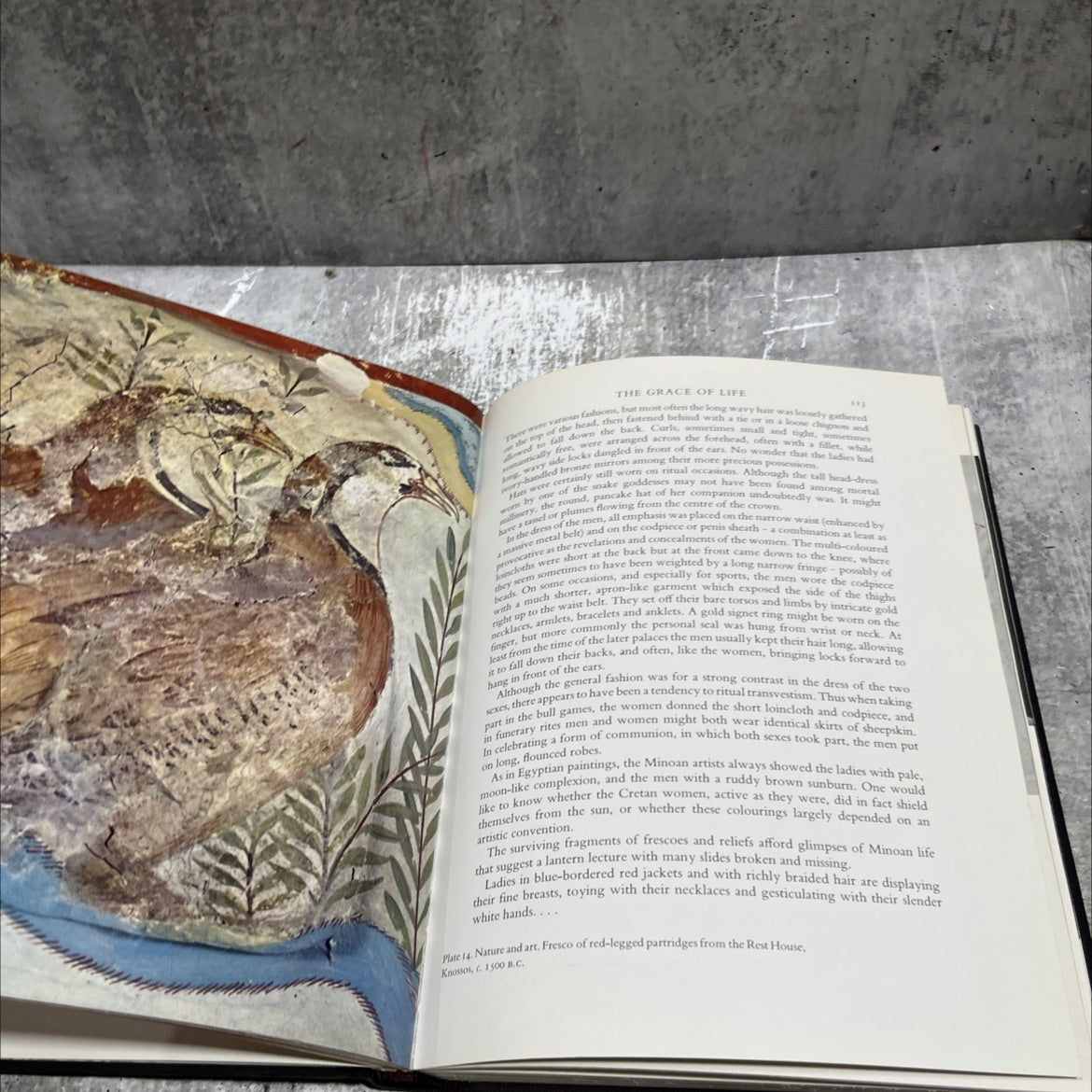dawn of the gods book, by Jacquetta Hawkes, 1968 Hardcover image 4