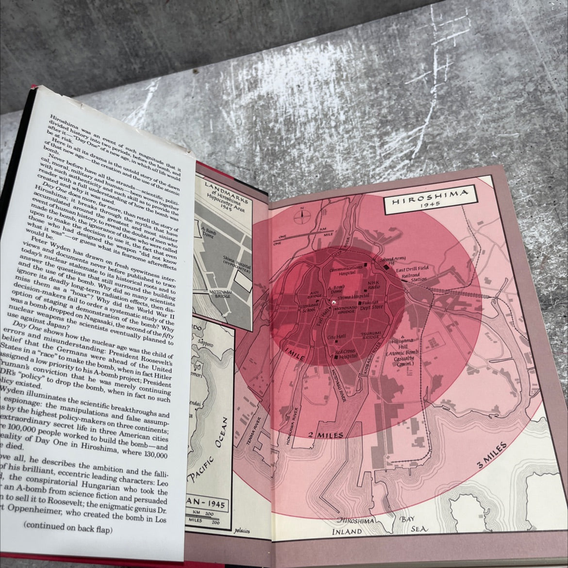 day one book, by peter wyden, 1984 Hardcover image 4