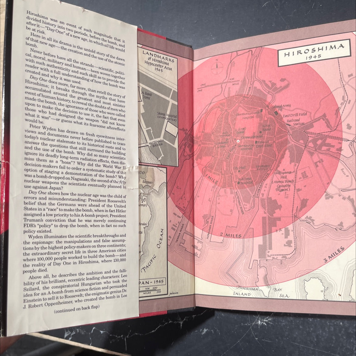 day one book, by Peter Wyden, 1984 Hardcover image 4