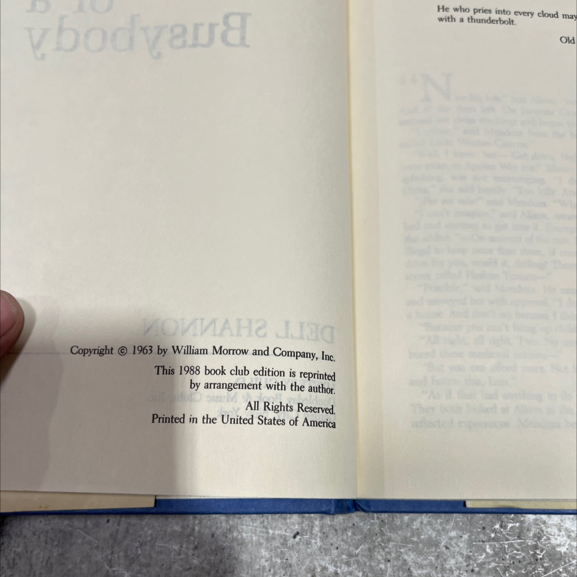 death of a busybody book, by dell shannon, 1988 Hardcover image 3