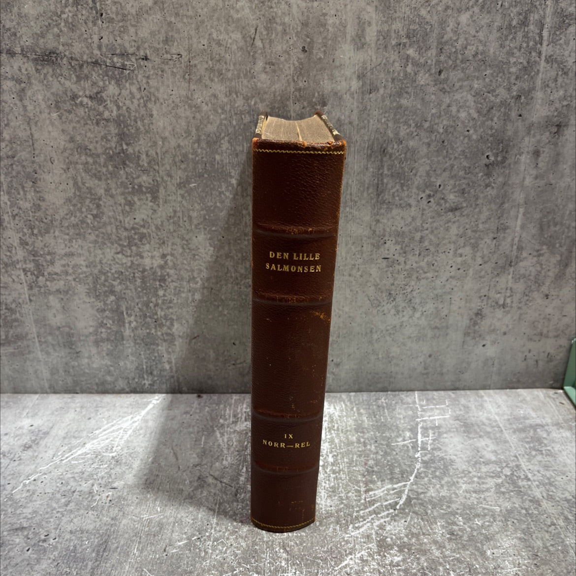 den lille salmonsen book, by A. W. Marke and Palle Raunkjær, 1939 Leather image 4
