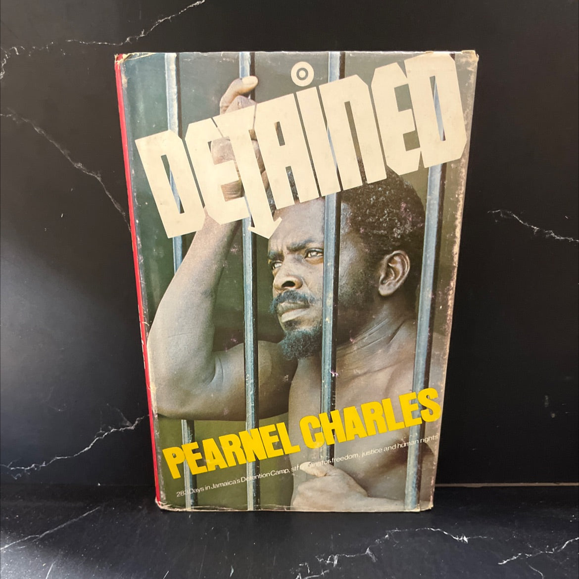 detained 283 days in jamaica's detention camp, struggling for freedom, justice and human rights! book, by pearnel image 1