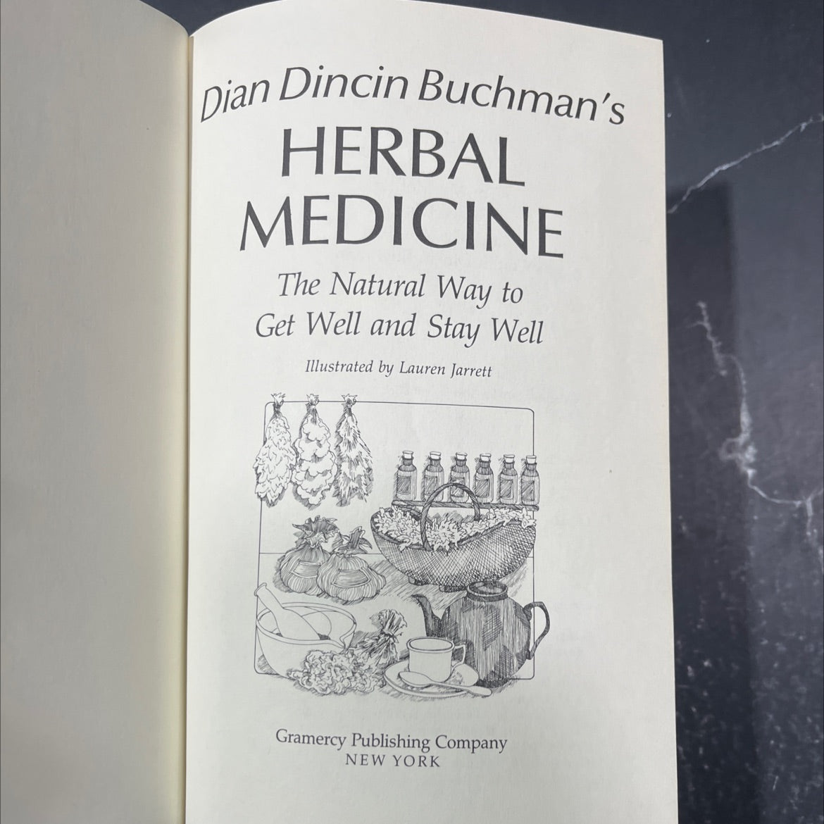 dian dincin buchman's herbal medicine book, by Dian Dincin Buchman, 1980 Hardcover image 2