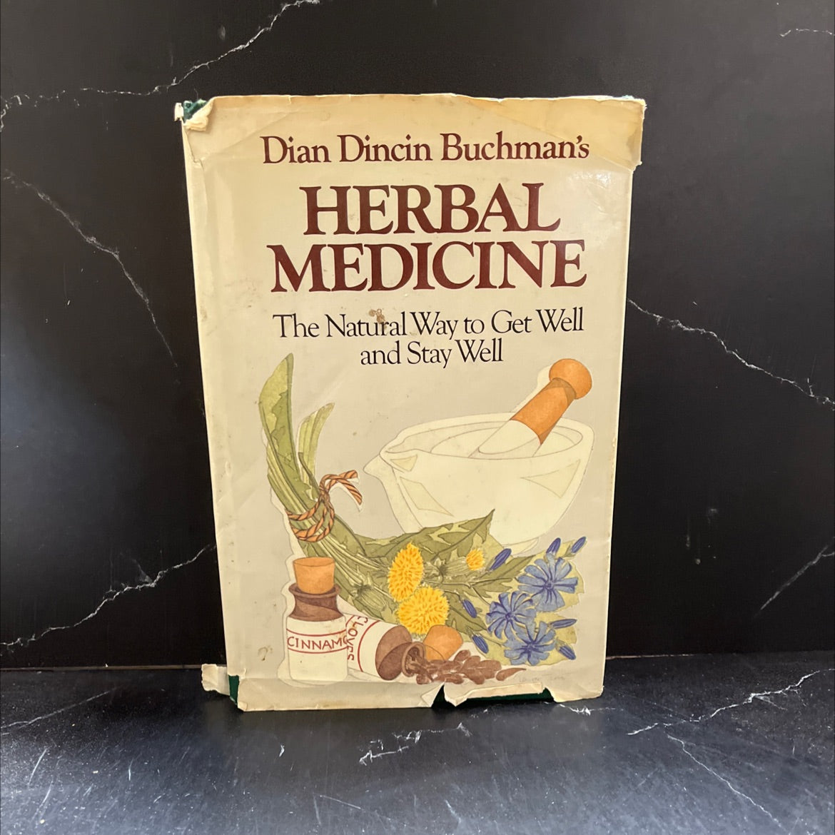 dian dincin buchman's herbal medicine book, by Dian Dincin Buchman, 1980 Hardcover image 1