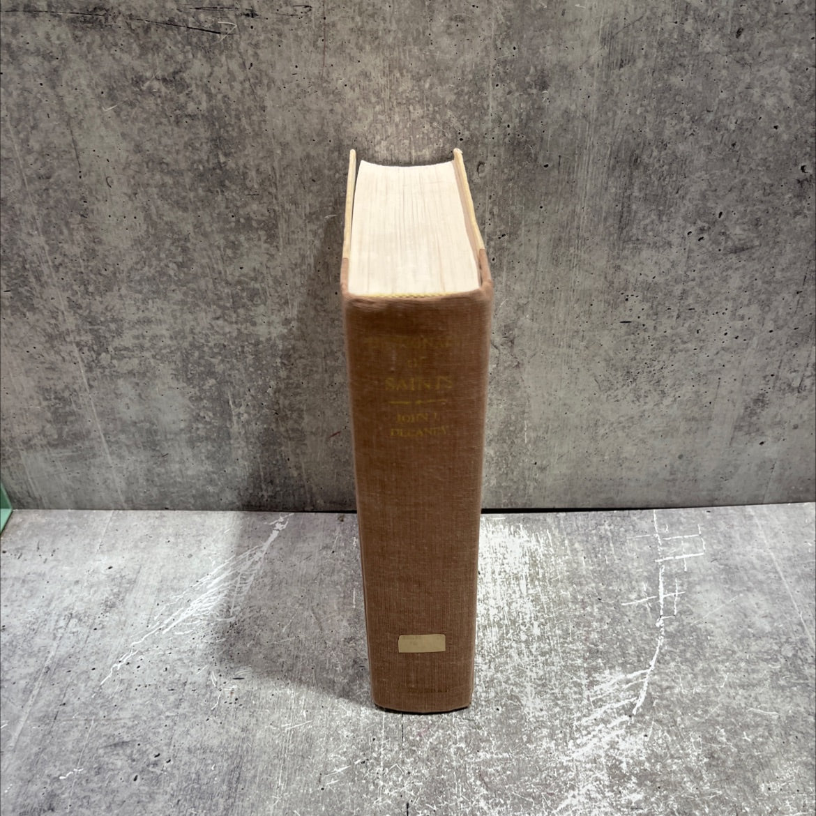 dictionary of saints book, by john j. delaney, 1980 Hardcover image 4