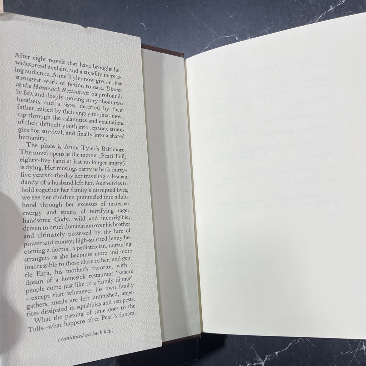 dinner at the homesick restaurant book, by Anne Tyler, 1996 Hardcover image 4