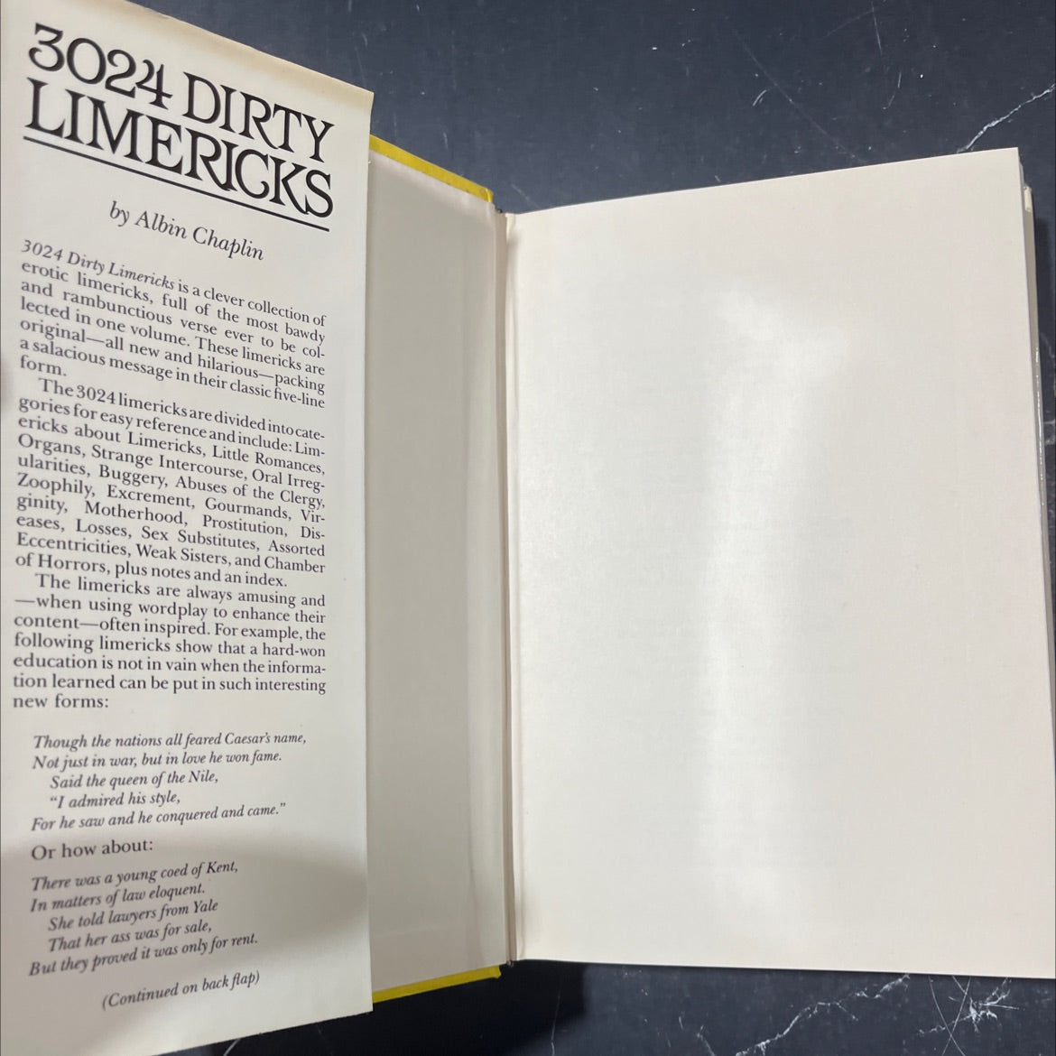 dirty limericks book, by Albin Chaplin, 1983 Hardcover image 4