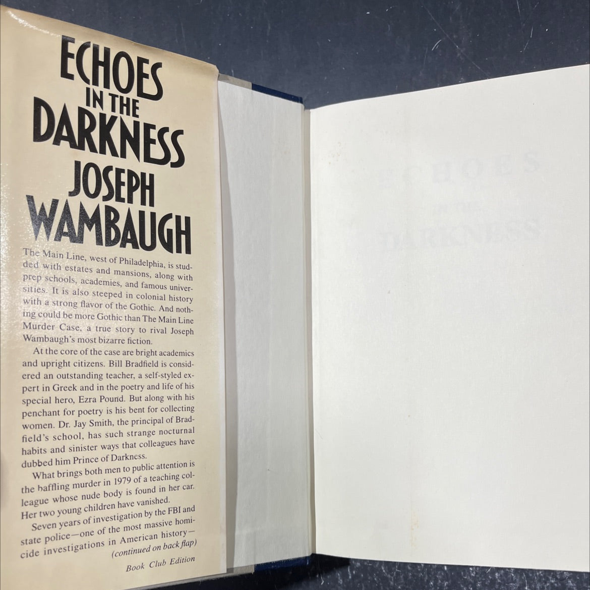 disiac echoes in the darkness book, by Joseph Wambaugh, 1987 Hardcover image 4