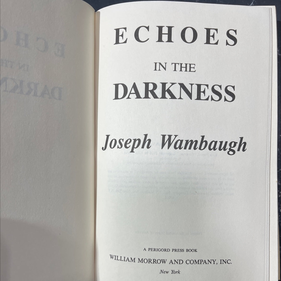 disiac echoes in the darkness book, by Joseph Wambaugh, 1987 Hardcover image 2