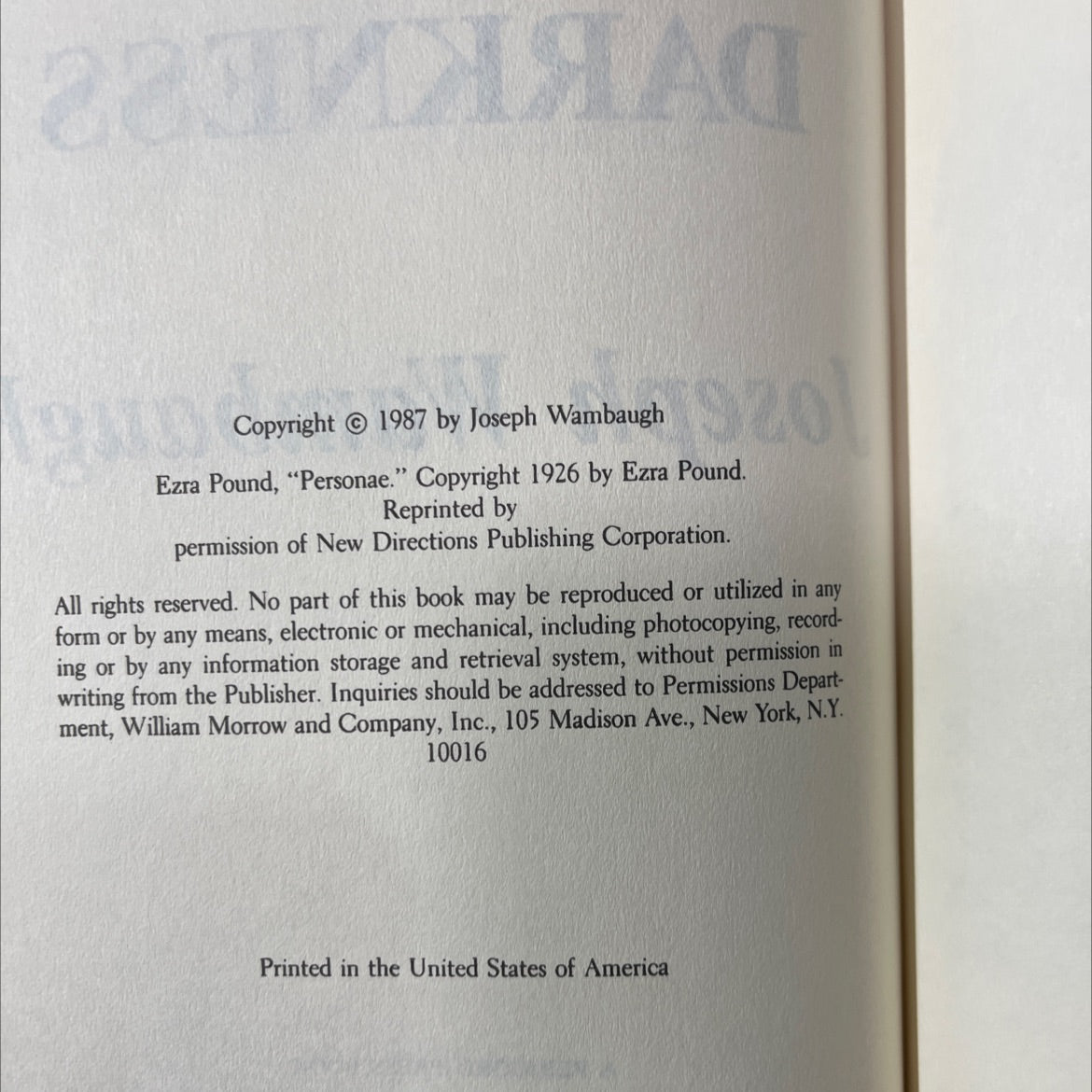 disiac echoes in the darkness book, by Joseph Wambaugh, 1987 Hardcover image 3